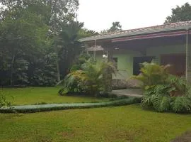 Arenal Ginger Home