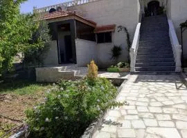 family studio