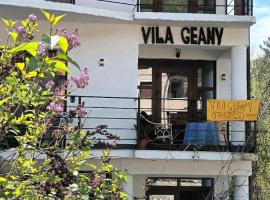 Pensiunea Vila Geany SRL，位于伯伊莱海尔库拉内的度假短租房