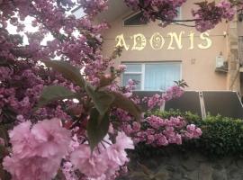 阿多尼斯旅馆，位于乌日霍罗德的民宿