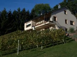 CasaVitis Erholung am Weinberg