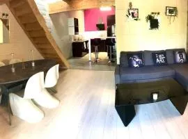 Duplex atypique 20’ de toulouse
