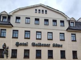 Hotel Goldener Löwe Zeulenroda，位于措伊伦罗达的酒店