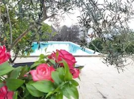 La Casa d'Olhão