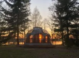 Pušų gaudyklė