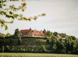 Schloss Frankenberg，位于Weigenheim的酒店