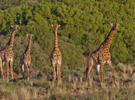 克卡特萨拉布什露营地山林小屋，位于博福特西的山林小屋