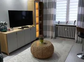 Bee Happy Apartament Wrzesnia