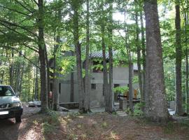 Casa nel bosco alle Macinaie，位于阿米亚塔山的酒店