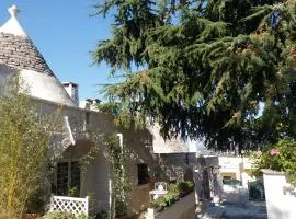 Trulli di Puglia - Casa vacanze in Valle d'Itria