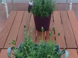 L'hotelet 16 Rural loft