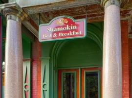 Shamokin Bed and Breakfast，位于Shamokin柯努伯斯娱乐度假村附近的酒店