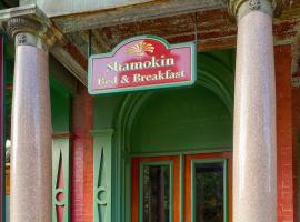 Shamokin Bed and Breakfast，位于Shamokin的民宿