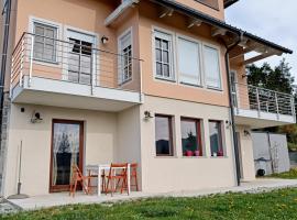 Green Apartment Cerknica，位于采尔克尼察的酒店