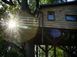 Strazdu Ligzda Off grid treehouse，位于Meņģele的别墅