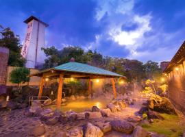 瀬波温泉　自家源泉野天風呂　湯元　龍泉，位于Senami的酒店