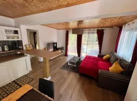 La Trinité, charme historique du Sud Sauvage