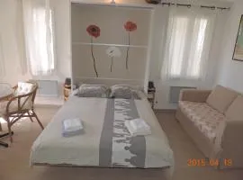 蒂斯图布朗蝉鸣公寓