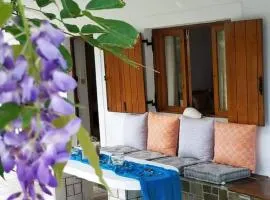 Traditional Olive House