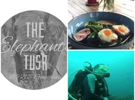 The Elephants Tusk B&B