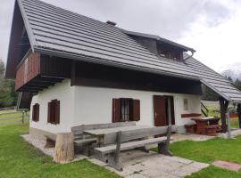 Apartma Hodnik Uskovnica，位于Srednja Vas v Bohinju的酒店