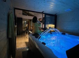 Les suites de Stanislas jacuzzi & spa，位于南希的酒店