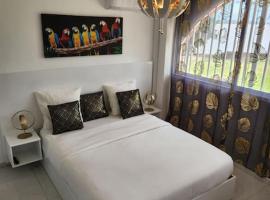Hello-Guyane, Marina 5, Studio Prestige 5 étoiles，位于马罗尼河畔圣洛朗的酒店