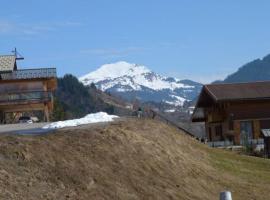 T1 Proche Grand Bornand Et Lac，位于Les Villards-sur-Thônes的酒店