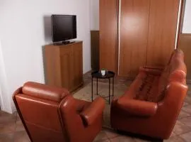 Apartma-studio Ajdna