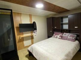 Studio St Florentin 3，位于圣夫洛朗坦的酒店
