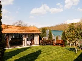 Pensiunea Doina și Ion