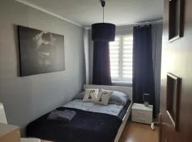 Apartament Palisadowa