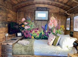 Skipbridge Farm Glamping，位于Green Hammerton的度假短租房