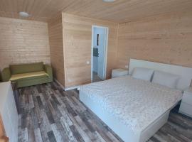 Cabana Oprișor，位于锡比乌盐矿镇的酒店