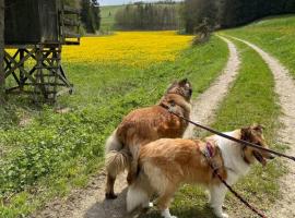 Ferienwohnung Aussicht, Monheimer Alb, Altm&uuml;hltal，位于R&ouml;gling的带停车场的酒店