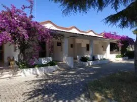 Villa Mirabilis