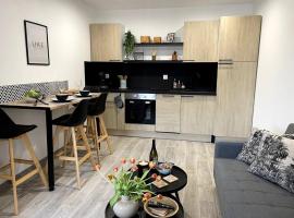 Bel appartement sur cour plein centre ville et parking，位于穆兰Moulins Yzeure Hospital附近的酒店