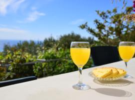 Perfetto Country House - Myrtos View，位于Anomeriá的酒店