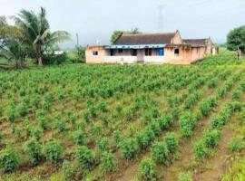 Kokane International Agro Tourism，位于马尔舍吉加特的酒店