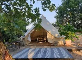 Rock Oak Camping 2
