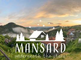 Mansard underneath the stars，位于Pripek的家庭/亲子酒店