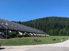 Loft Mini Appartamento Malga Laghetto TN