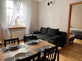 Apartament Zamkowy Stare Miasto，位于卢布林St. Adabert's Church附近的酒店