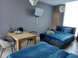 Bed & Wellness Boxtel, 4 persoonskamer met eigen badkamer