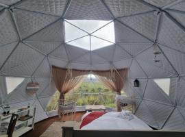 Pom Gratz - EcoDomes
