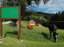 Urlaub am Bauernhof Familie Kitting，位于Vorau的带停车场的酒店