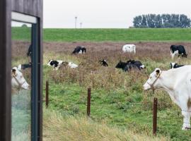 Tiny House Nature 13 Zur Kuhweide - Green Tiny Village Harlesiel，位于卡罗利嫩西尔的酒店