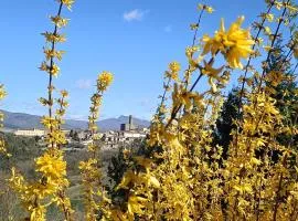 GreenView - CasaVacanza