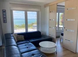 Hedon Brewing Charlie Balaton View Apartment - 200 meter to the Beach