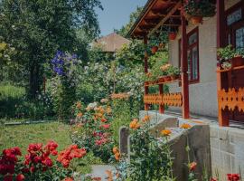 Casa Bajora，位于Scorţeni的山林小屋